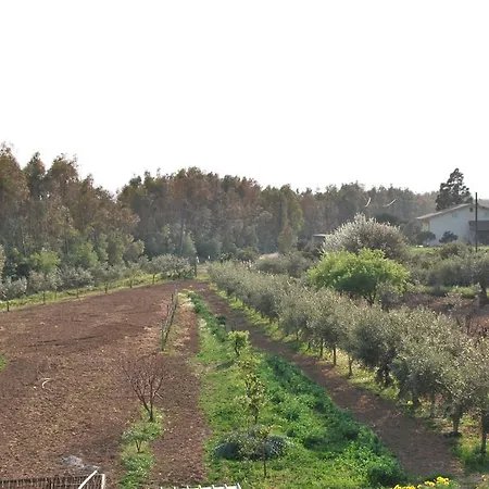 La Casa Di Donato E Maria *