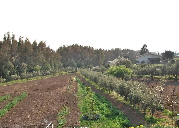 La Casa Di Donato E Maria *